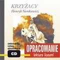 Lektury szkolne, opracowania lektur: Krzyżacy - opracowanie - audiobook