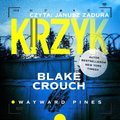 Horror i Thriller: Krzyk - audiobook