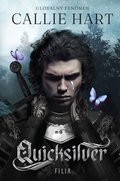 Fantasy: Quicksilver - ebook