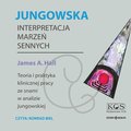 Jungowska interpretacja marzeń sennych - audiobook